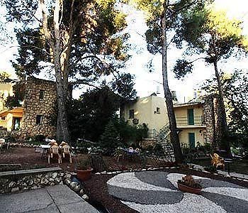 Safed Inn Exterior photo
