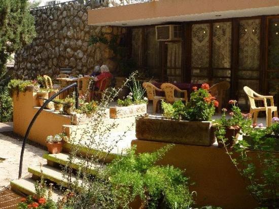 Safed Inn Exterior photo