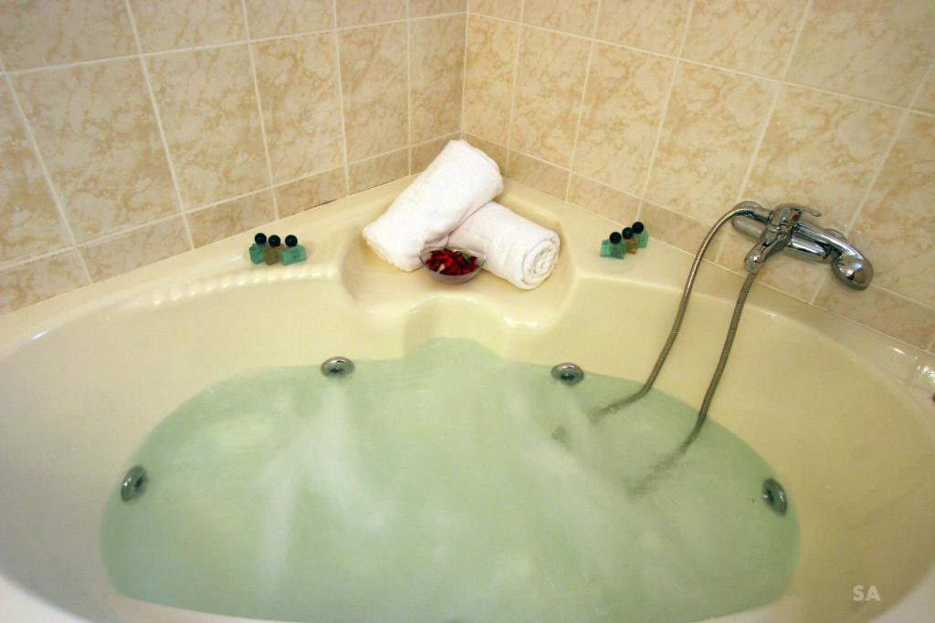 Safed Inn Room photo