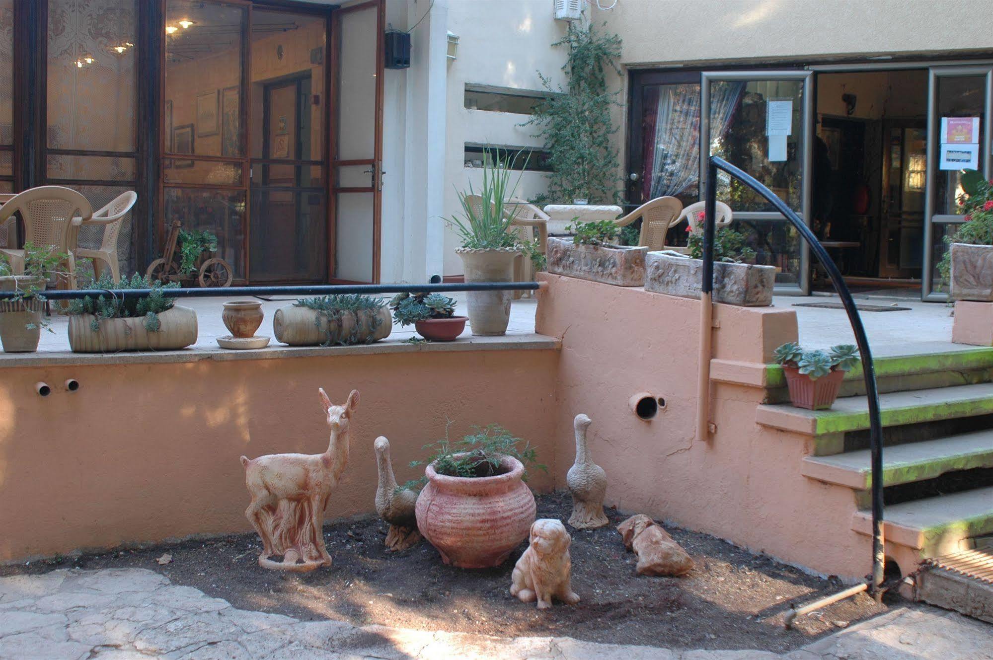 Safed Inn Exterior photo